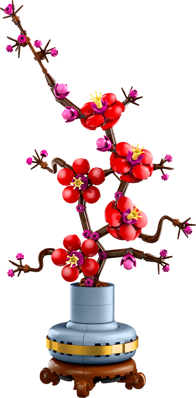 Plum Blossom