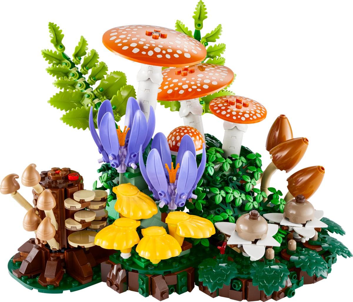 Woodland Mushrooms — 1
