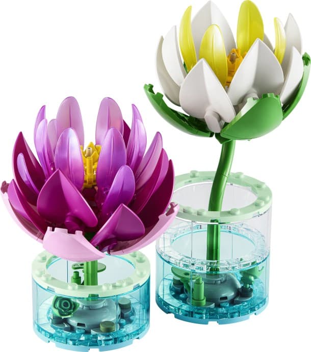 Water Lilies — 1
