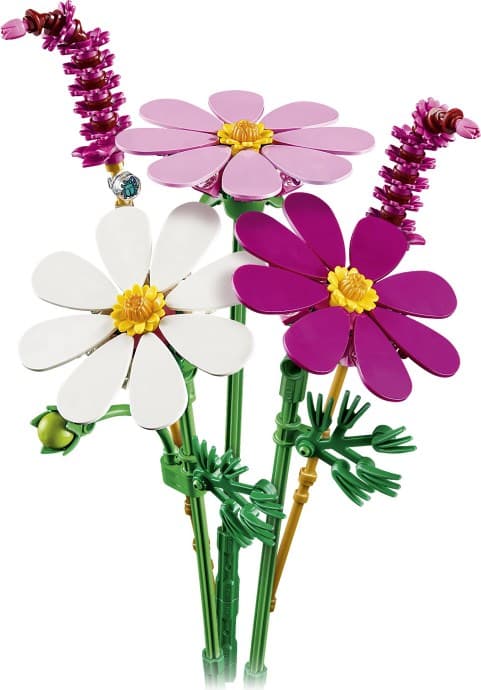 Cosmos Flowers — 1