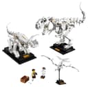 Dinosaur Fossils