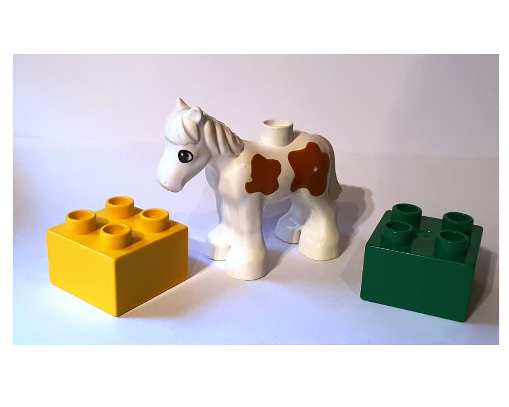 Pony