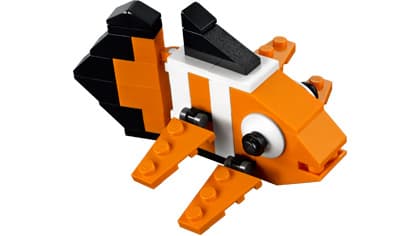 Clown Fish — 1