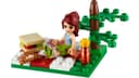 Summer Picnic