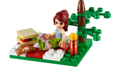 Summer Picnic — 1