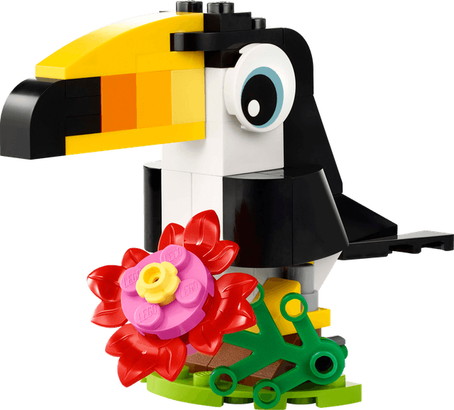 Tropical Toucan