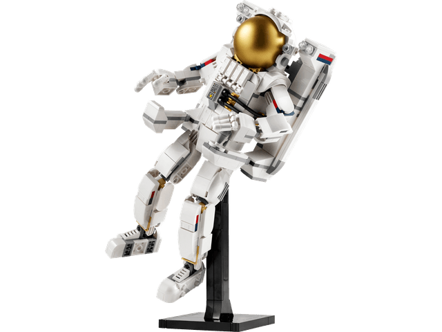 Space Astronaut