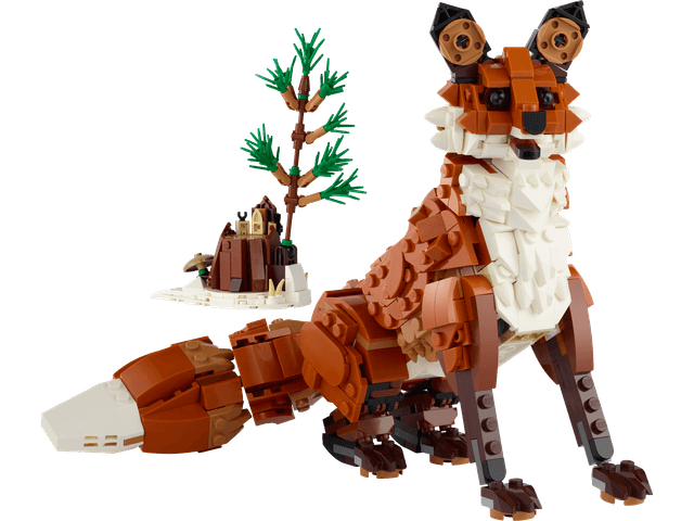 Forest Animals: Red Fox