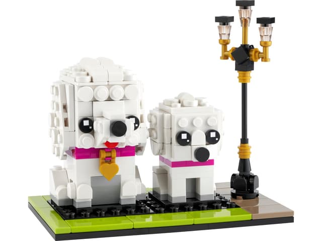 Poodle