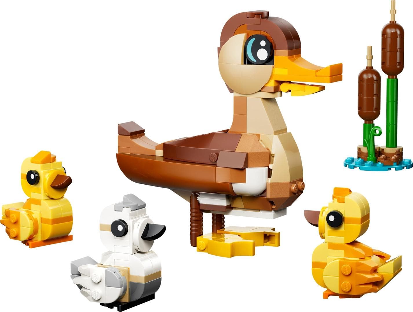 Duck Family — 1