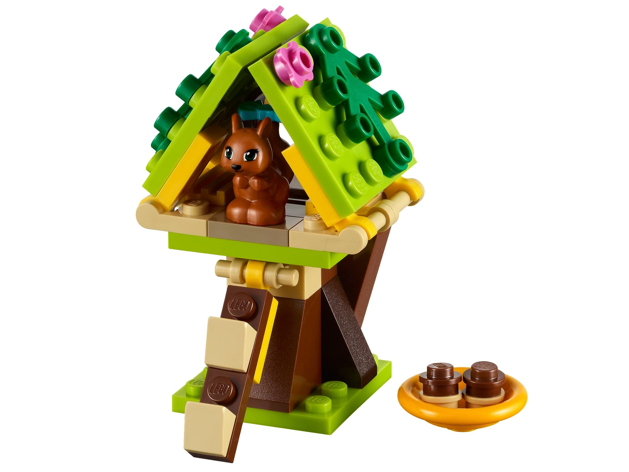 Squirrel's Tree House — 1