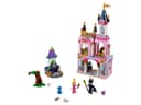 Sleeping Beauty's Fairytale Castle