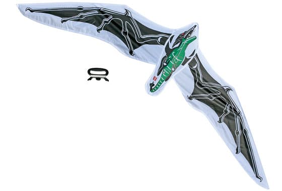 Dino 2010 Kite