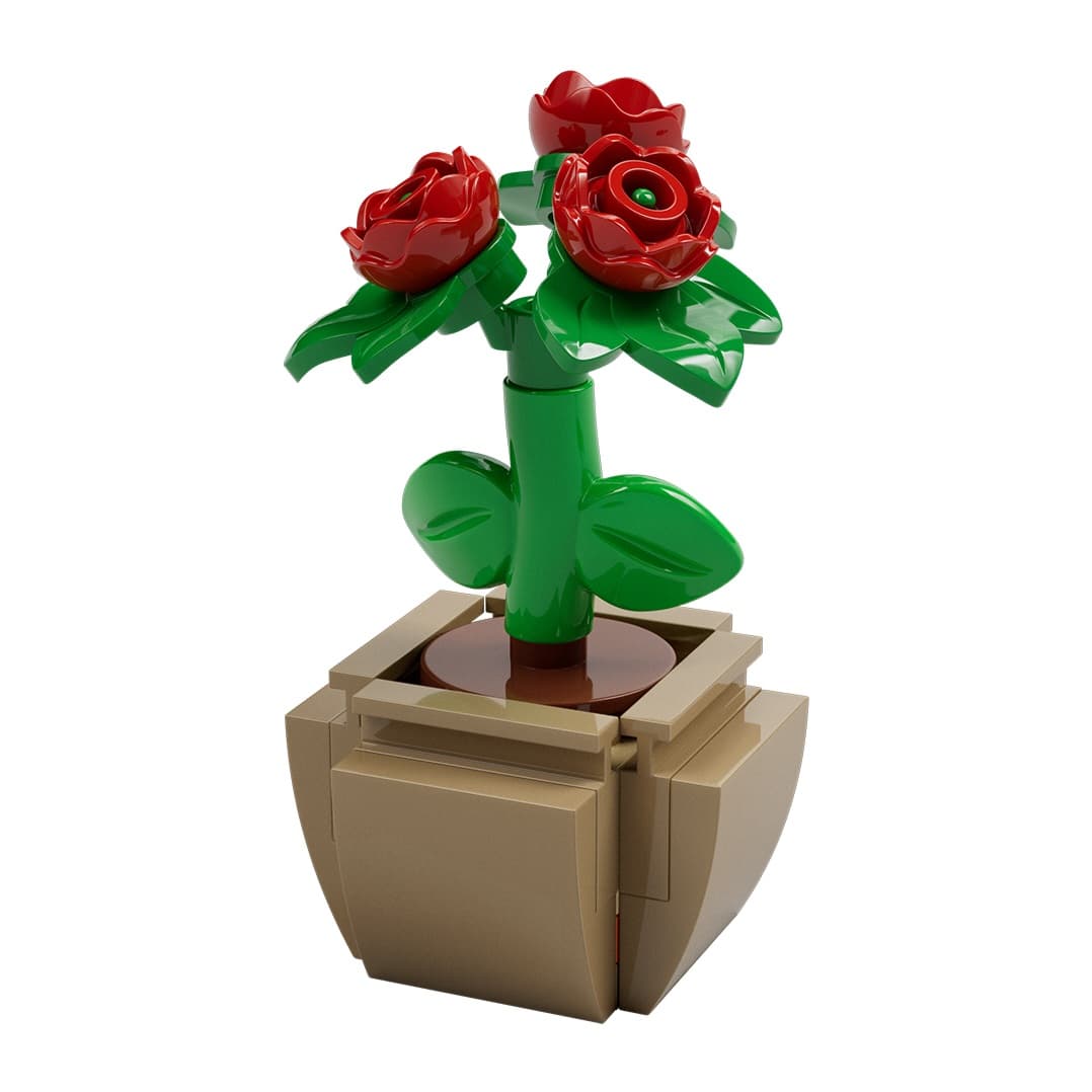 Potted Roses