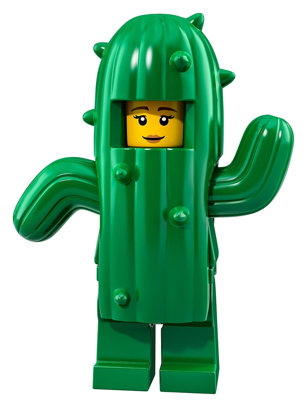 Cactus Girl — 1