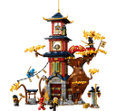 Temple of the Dragon Energy Cores