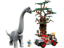 Brachiosaurus Discovery