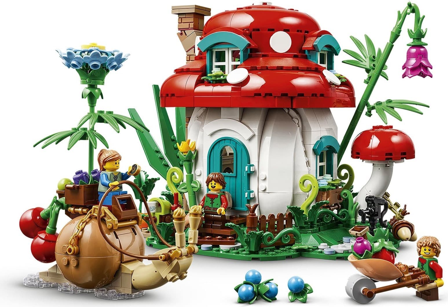 Mushroom House — 1