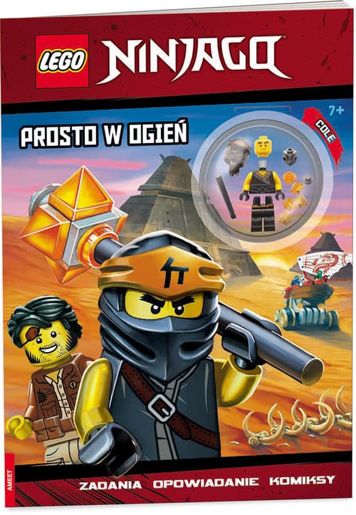 Ninjago: Into the Fire — 1