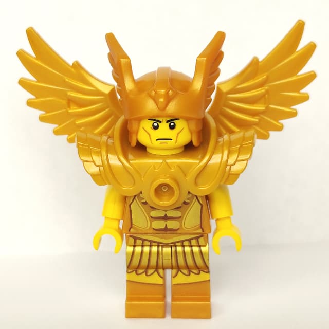 Flying Warrior