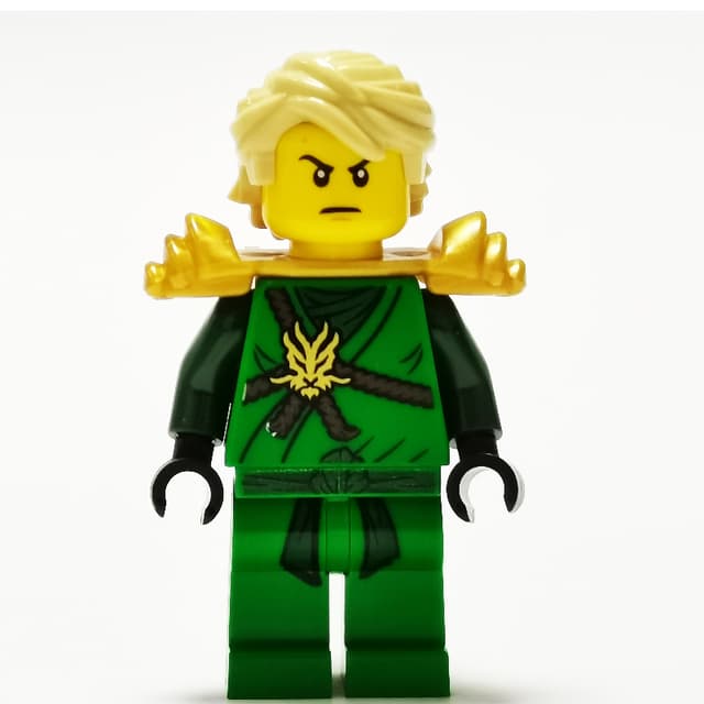 Lloyd in Honor Robes and Hair (Day of the Departed)