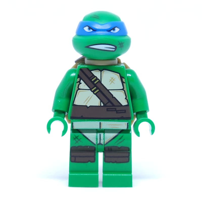 Leonardo with Dirt Stains