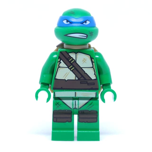 Leonardo with Dirt Stains