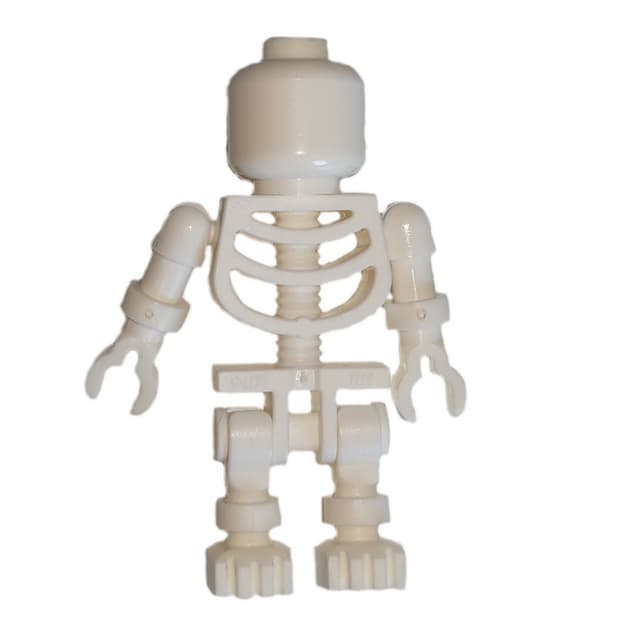 Skeleton, Plain Head