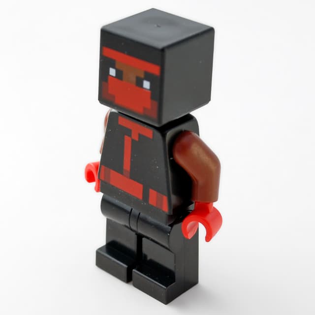 Ninja