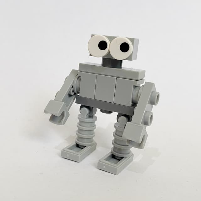 The Robot