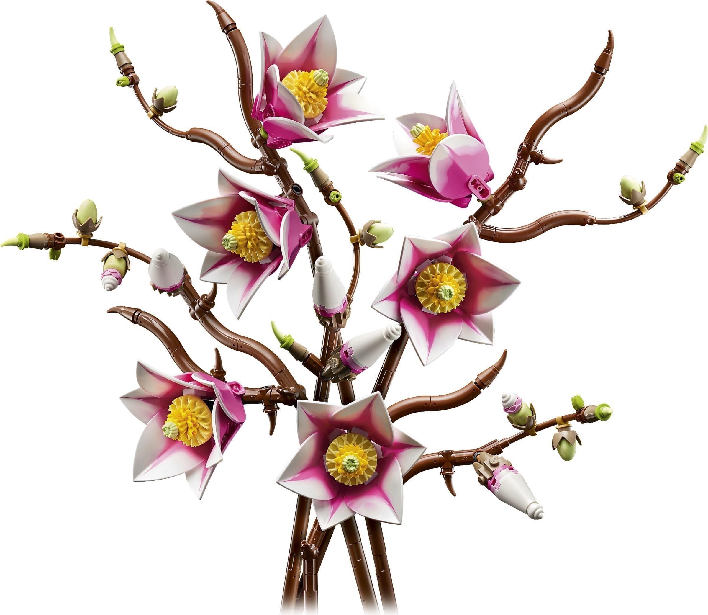 Magnolia Branches — 1