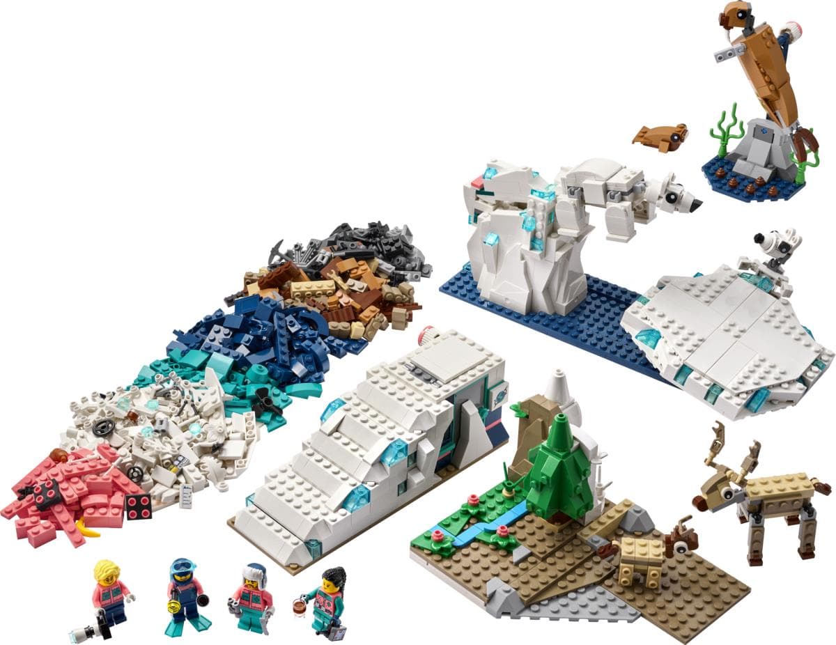 Arctic Animals Science Kit