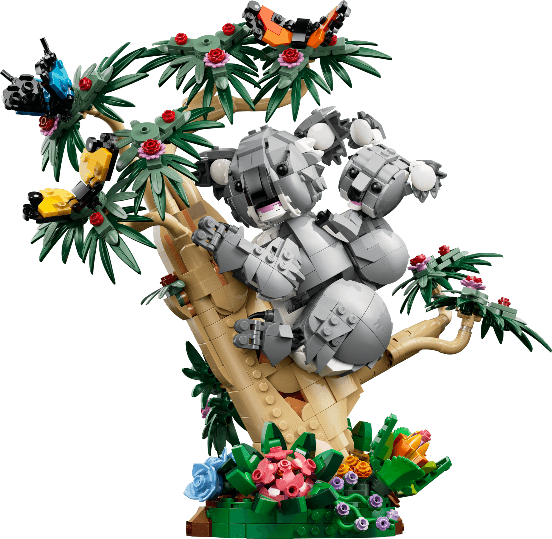 Wild Animals: Family of Koalas