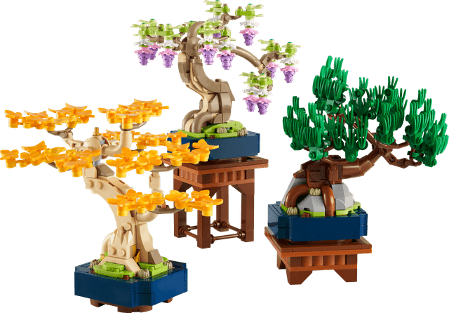 Mini Bonsai Trees
