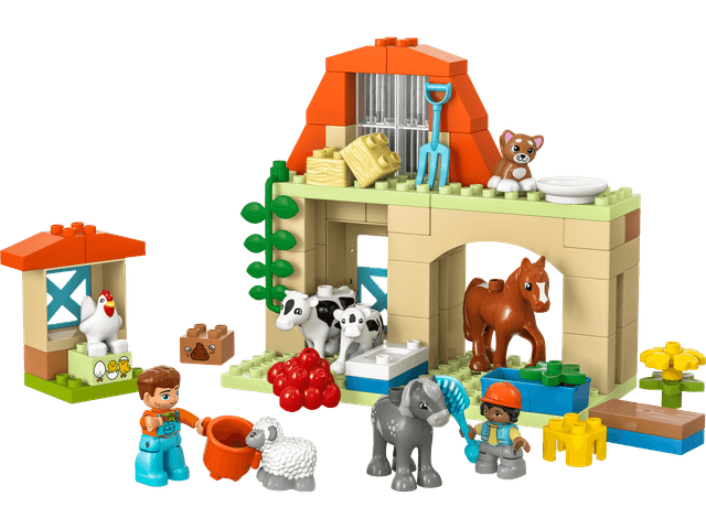 Caring for Animals at the Farm