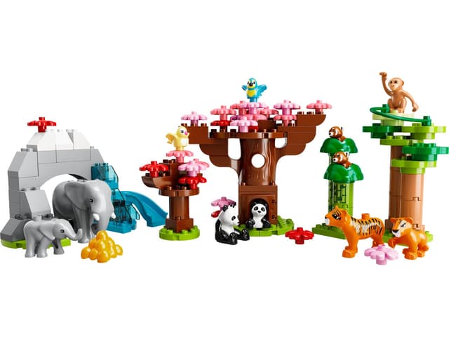 Wild Animals of Asia
