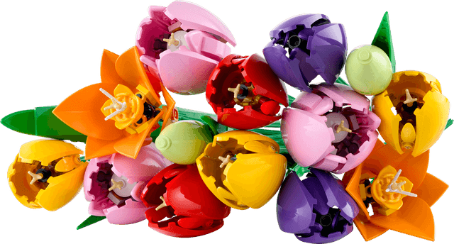 Tulip Bouquet