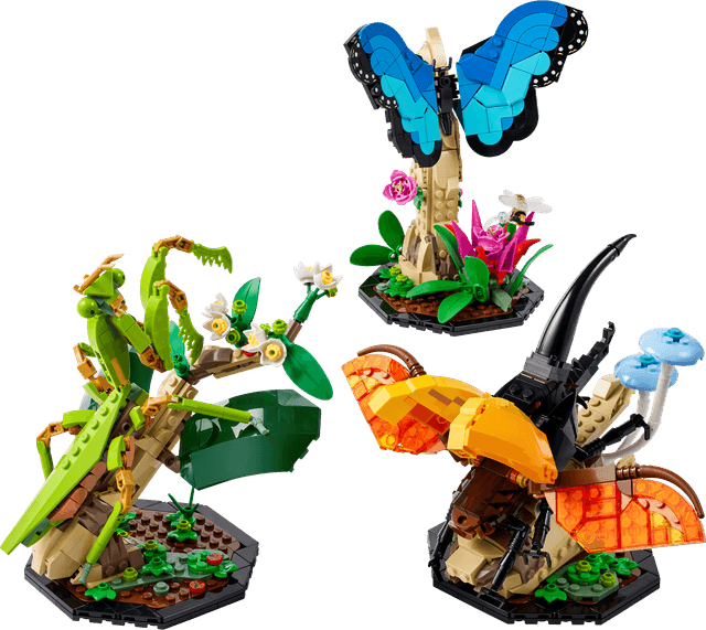 The Insect Collection