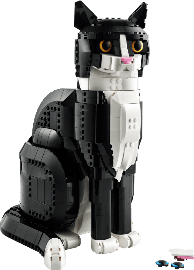 Tuxedo Cat