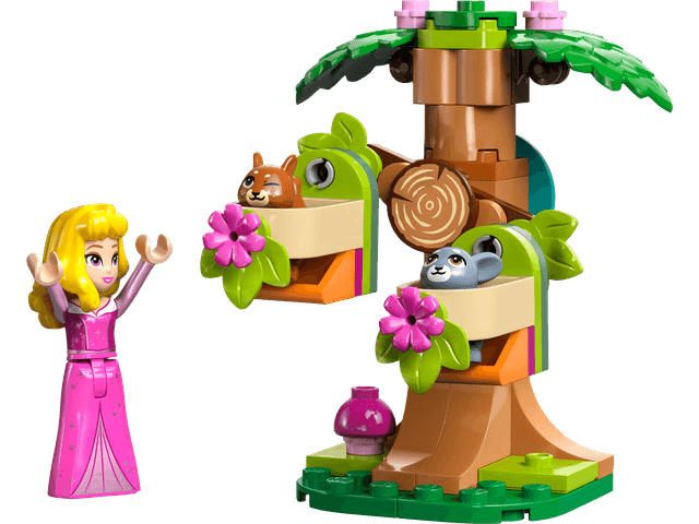 Aurora's Forest Playground