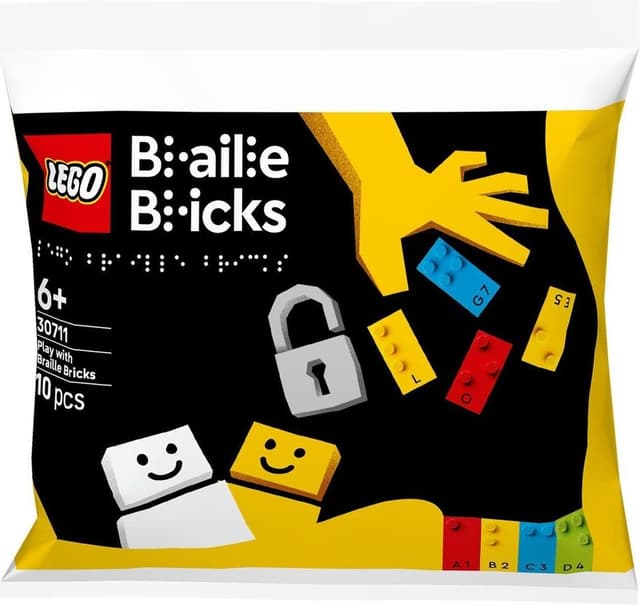 Play with Braille Bricks