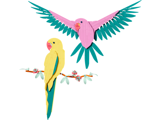 Macaw Parrots