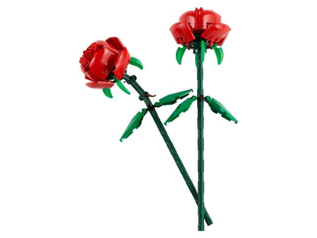 Roses