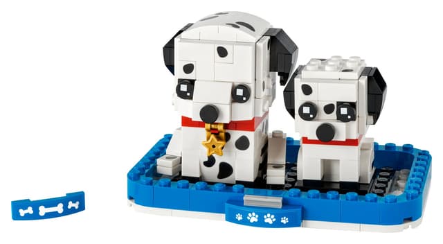 Dalmatian and Puppy