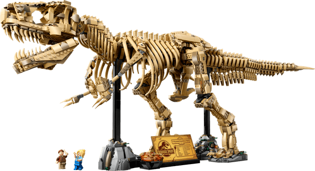 Dinosaur Fossils: Tyrannosaurus Rex