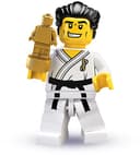 Karate Master