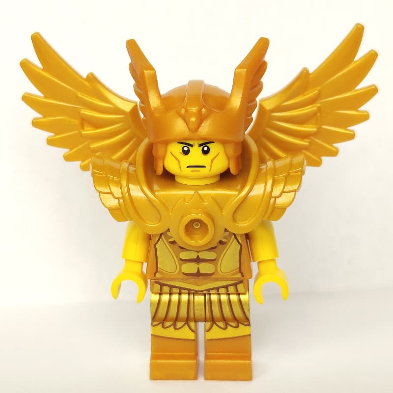 Flying Warrior